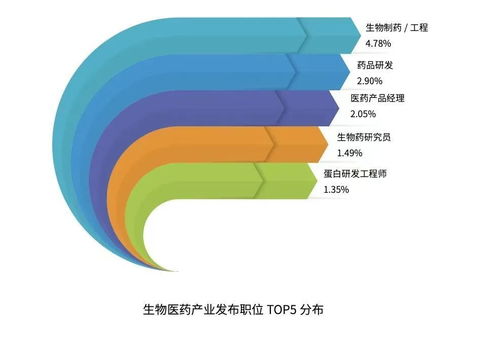 软件技术开发与销售 创新驱动与市场拓展的双轮驱动
